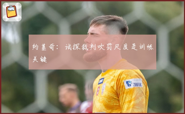 约基奇：试探裁判吹罚尺度是训练关键