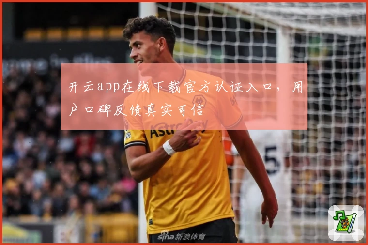 开云app在线下载官方认证入口，用户口碑反馈真实可信