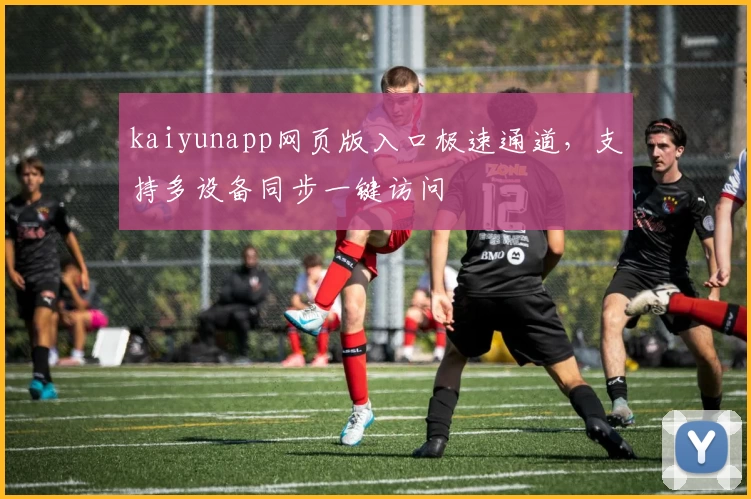 kaiyunapp网页版入口极速通道，支持多设备同步一键访问