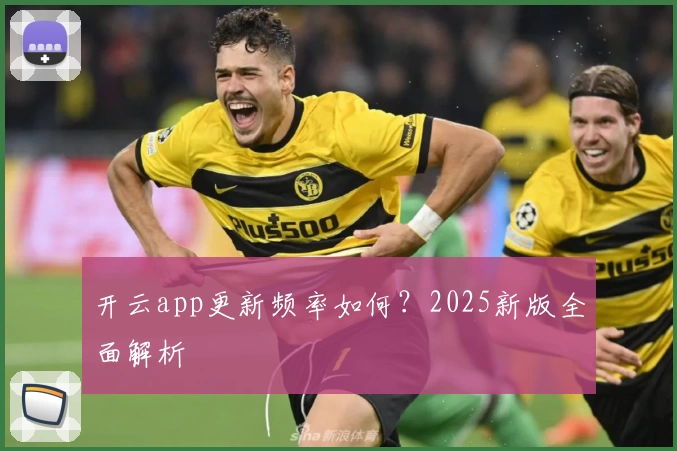 开云app更新频率如何?2025新版全面解析