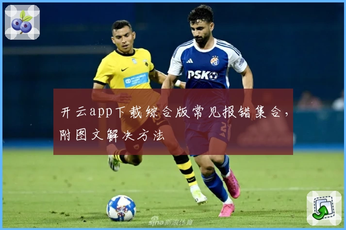 开云app下载综合版常见报错集合，附图文解决方法